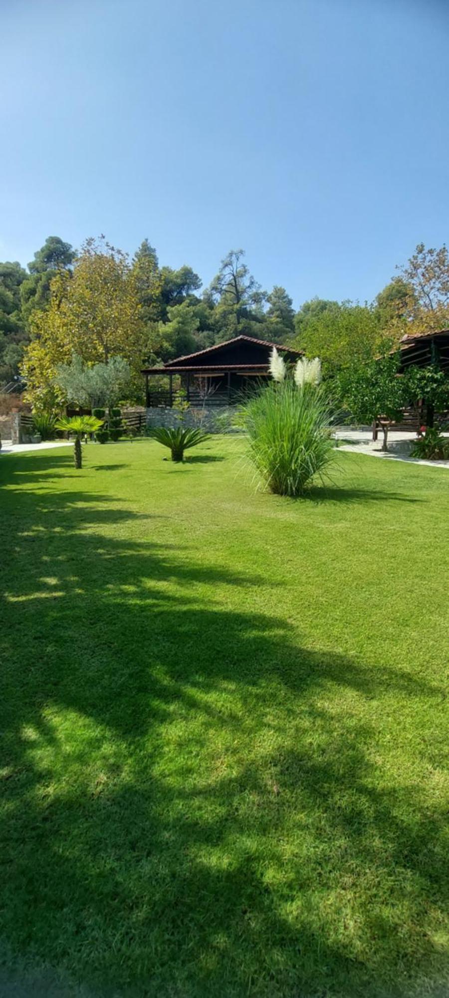 Dimitris' Villas - Villa 3 Ormos Panagias Exterior photo